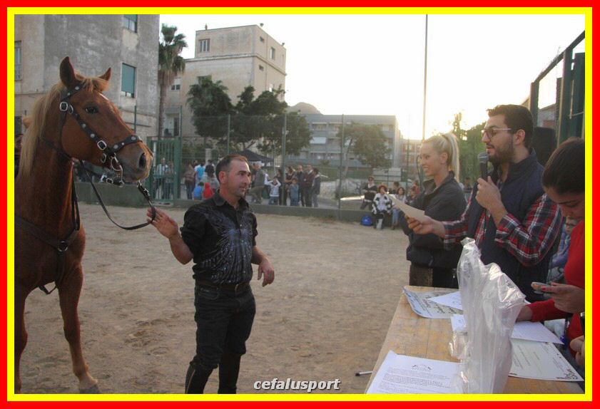 161106 equestre 074_tn.jpg